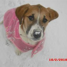 Blanding af racer Bella<3