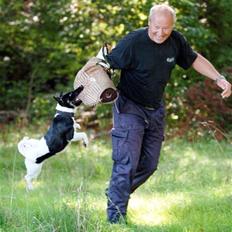 Glathåret foxterrier 2002 Je-ma Spot Kalle-and