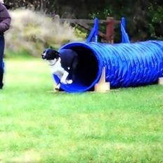 Blanding af racer Puk