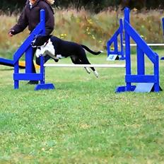 Blanding af racer Puk