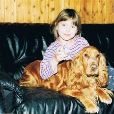 Cocker spaniel Luna R.I.P
