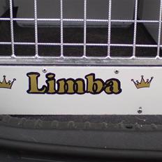 Malinois Limba (elsket og savnet)