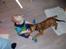 Blanding af racer Neela RIP??