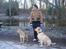 Blanding af racer Joe (himmelhund) - Dec. 09