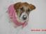 Blanding af racer Bella<3