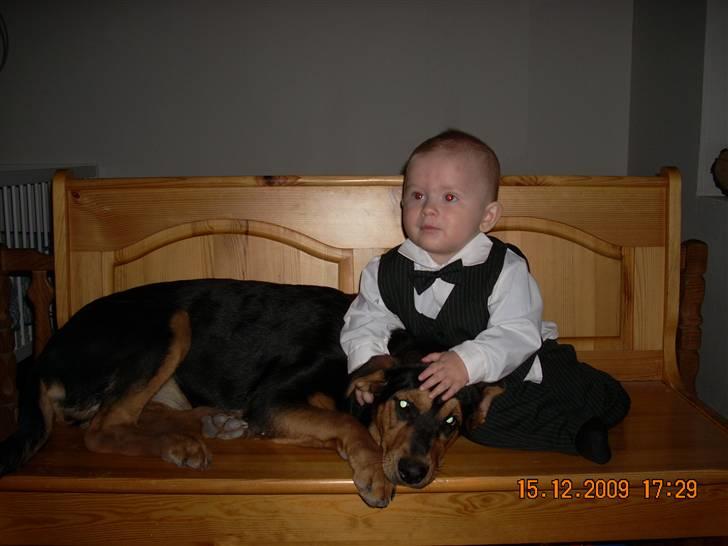 Blanding af racer Nala - arh mor skal jeg virkelg ligge her ?? :=)  billede 3