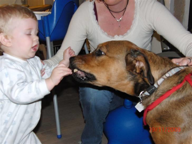 Blanding af racer Neela RIP?? - Mmm, godbidder :-) billede 4