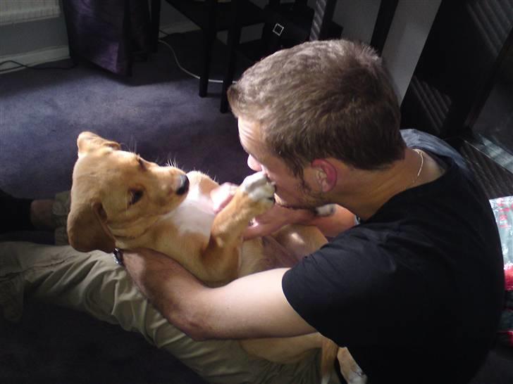 Blanding af racer Keiser billede 8