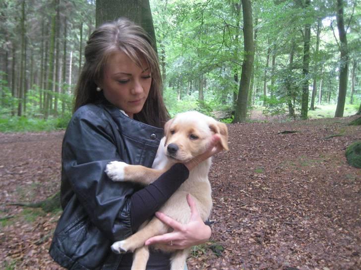 Blanding af racer Keiser billede 10