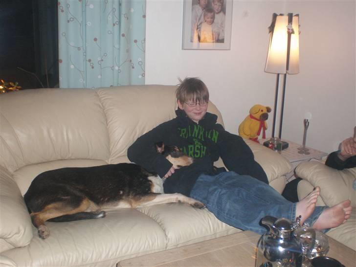 Collie korthåret Dollar - Fik lige lov og nyde det sammen med Patrik :) billede 11