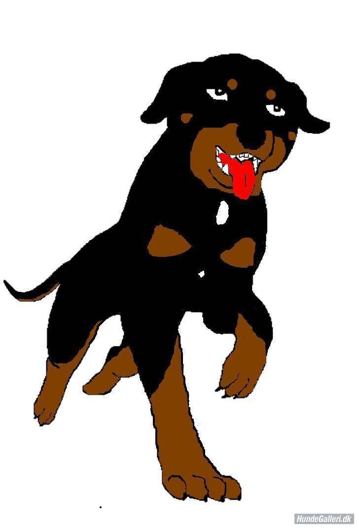Rottweiler Buzz - Charmetrolden <3 R.I.P himmelhund) billede 6