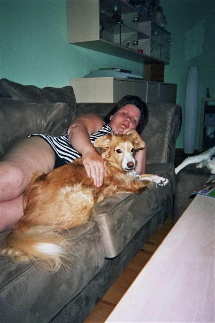 Blanding af racer gismo - nyt billede af gismo og min mor  billede 5