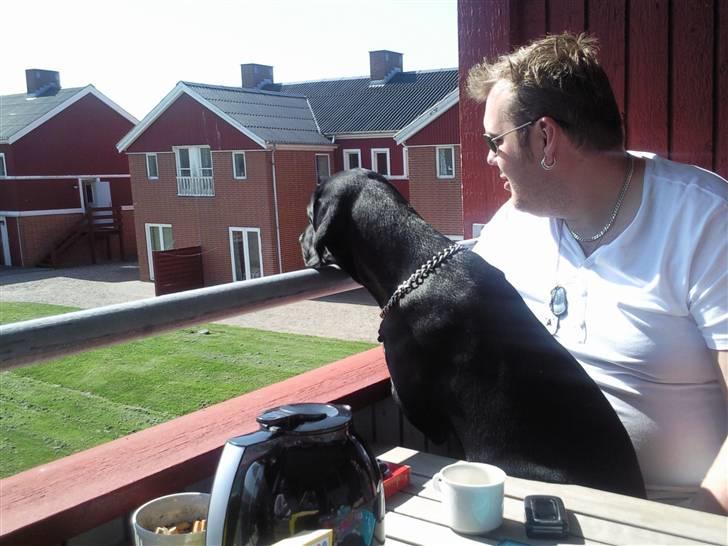 Blanding af racer Ricco - På ferie.. Skal lige op og kigge ud, så må Dennis altså lige gøre plads... :) Kan egentlig ikke huske hvordan Ricco kom forbi Lea som sad yderst.. :D billede 10