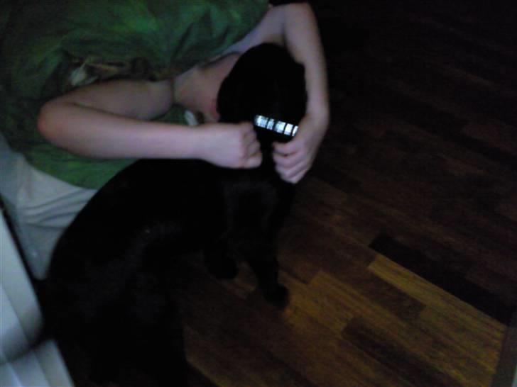 Blanding af racer Nala - GODMOOORGEN !! Såå står vi op :) .. billede 18