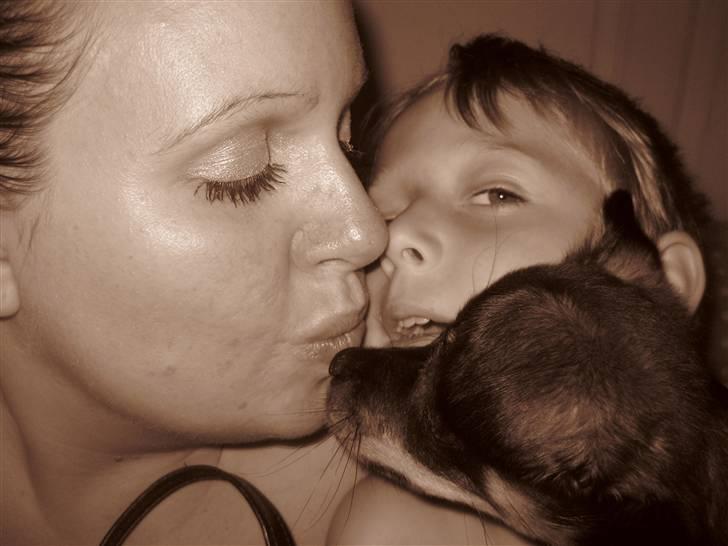 Blanding af racer Fifi billede 9