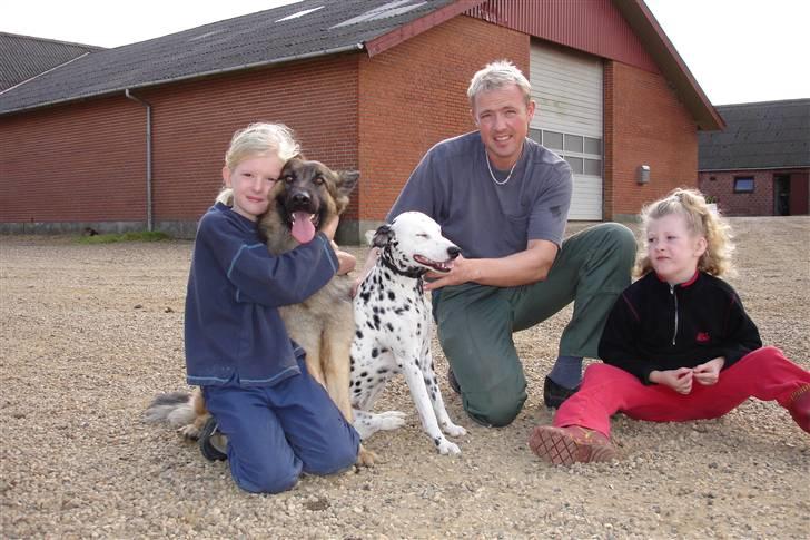 Schæferhund Molly <3 - Vi er en familie <3 2007 billede 5