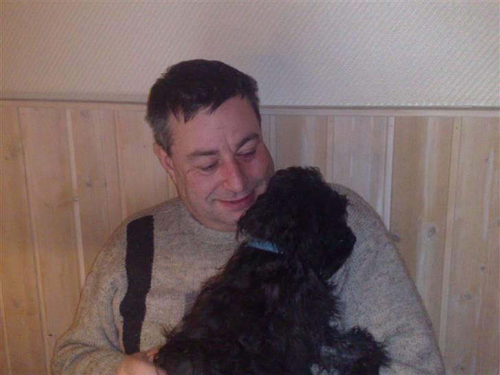 Blanding af racer Boris - Hmmm.... går jeg glip af noget? billede 11