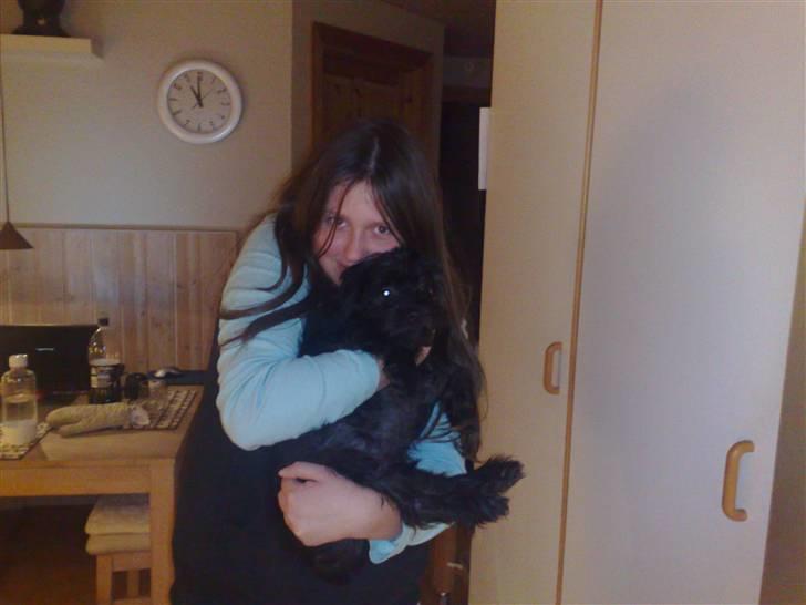 Blanding af racer Boris - Min anden storesøster elsker osse bare at kramme mig..  billede 12