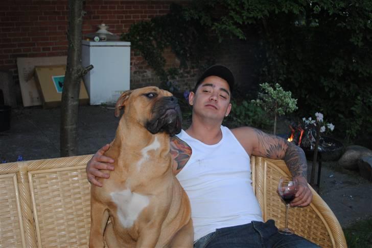 Blanding af racer KARLO billede 18