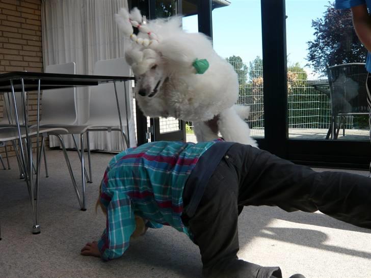 Mellempuddel Bari - sommer 09: "Børn ingen hindring" billede 6