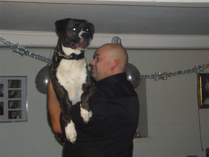 Blanding af racer Constantin billede 12