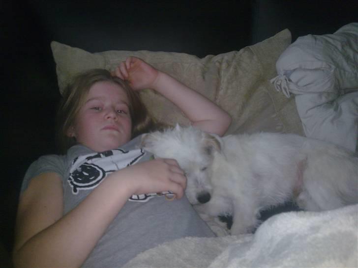 Blanding af racer jack Død d.18/12-10 :´( billede 16