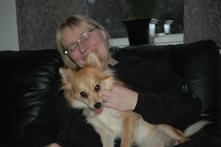 Blanding af racer Mille SOLGT - Mor og Mille hygger sig i sofaen. første dag efter mor fik hende billede 3