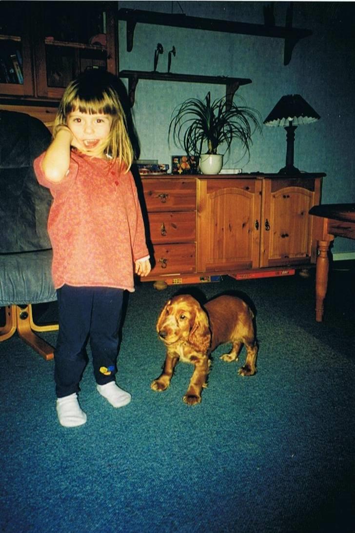 Cocker spaniel Luna R.I.P - mig og luna <3 mig 3 år lunse 1 år (: :´) billede 5