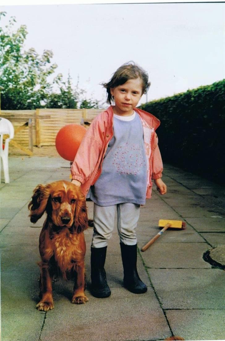 Cocker spaniel Luna R.I.P - Her vogter jeg :´) Lunza og mig <3 xD billede 7