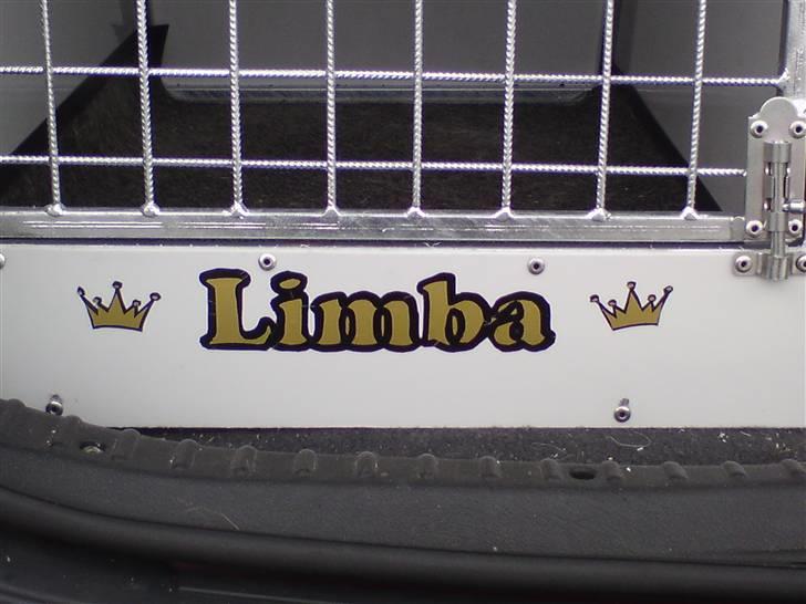 Malinois Limba (elsket og savnet) billede 1