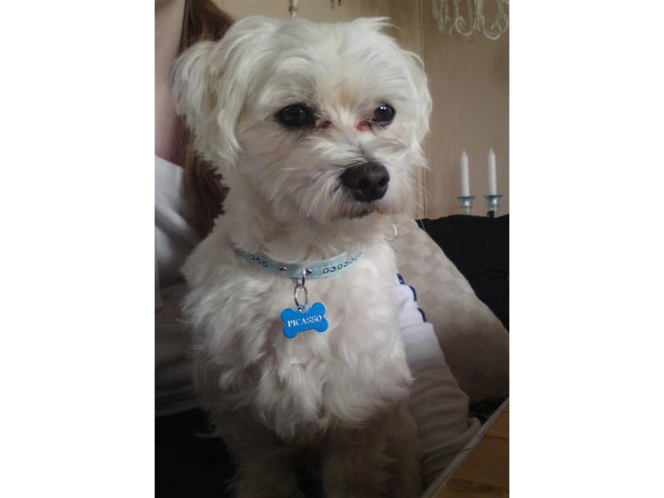 {{currentPhoto.altText}} billede {{currentPhoto.number}}