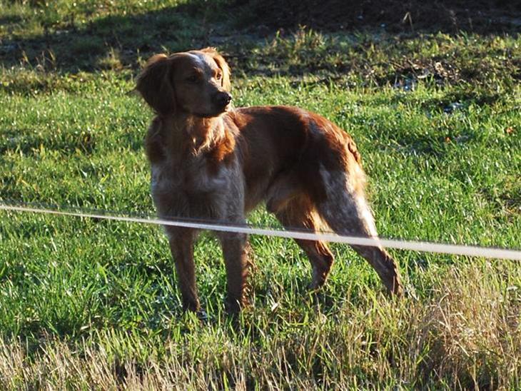 {{currentPhoto.altText}} billede {{currentPhoto.number}}