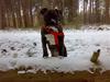 Blanding af racer Putte *SOLGT*