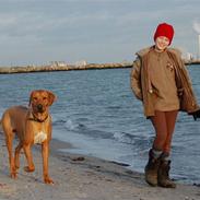 Rhodesian ridgeback Sasso