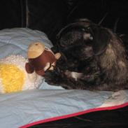 Blanding af racer happy