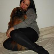 Pekingeser Basse (Houstoers Hsiung)