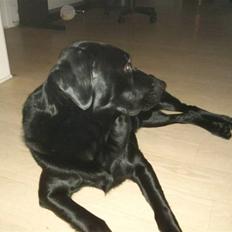 Blanding af racer Tyson