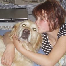 Golden retriever Music Cella † R.I.P † 
