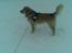 Golden retriever Figo - Sikke meget sne.
