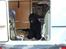 Sort russisk terrier hasse