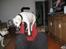 Amerikansk bulldog Daimond R.I.P 21/6-2010