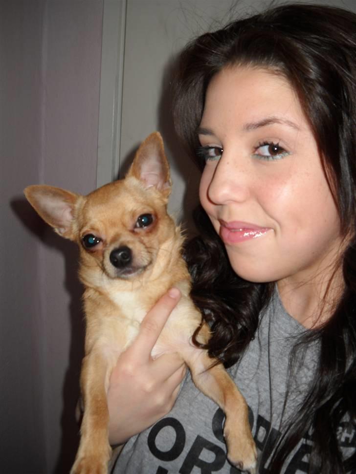 Chihuahua Hugo - Her er jeg sammen med min moster :) mors søster..  billede 7
