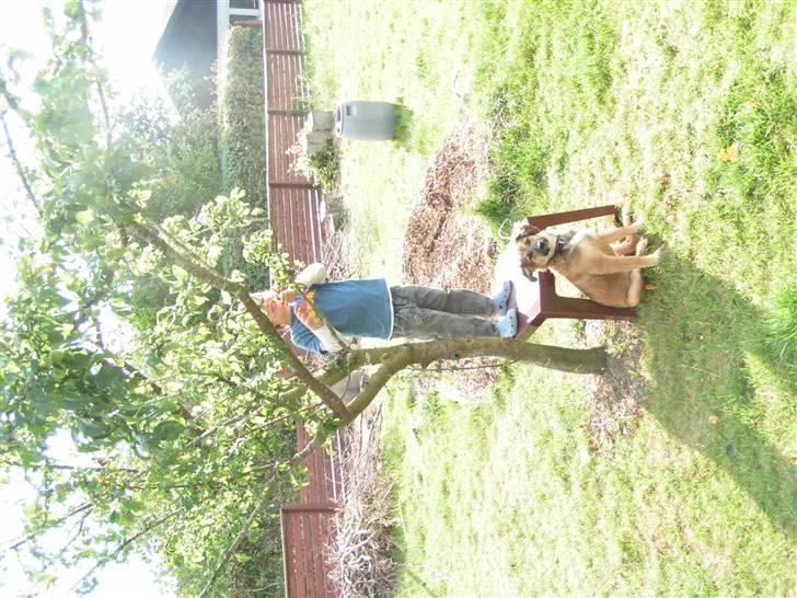 Blanding af racer dakota billede 19