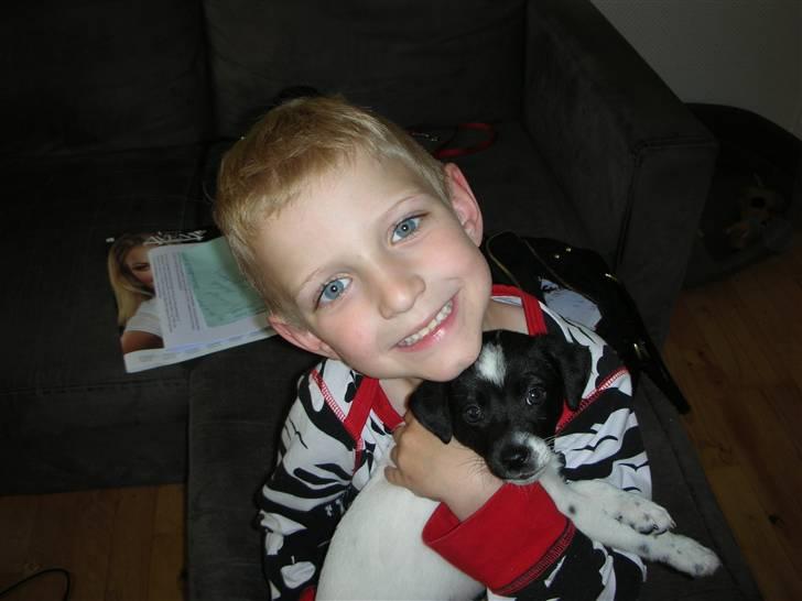 Dansk svensk gaardhund Mille - Mig og min "storebror" Christoffer billede 11