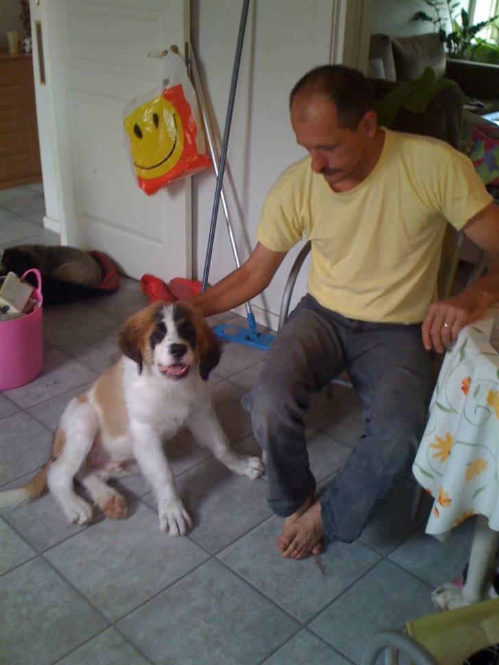 Blanding af racer balou  *død* billede 2