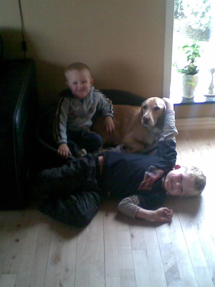 Blanding af racer Bertil (død) - Bertil og vores vennepars 2 børn. billede 7