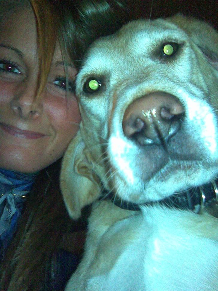 Blanding af racer Bertil (død) - Bertil og min lillesøster Mette billede 11