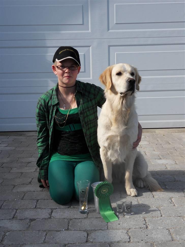 Golden retriever Golden Oggy Jazmin - Noget af det vi har hentet hjem fra udstilingerner :p billede 17