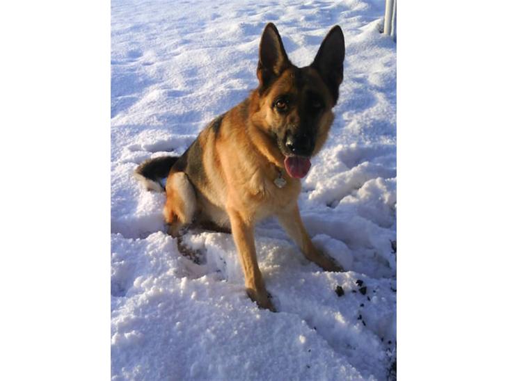 {{currentPhoto.altText}} billede {{currentPhoto.number}}