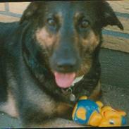 Blanding af racer Emma  *død*